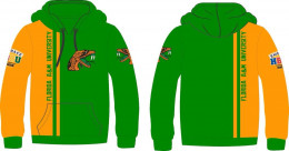 School Colors HBCU hoodies (Florida A&M University)